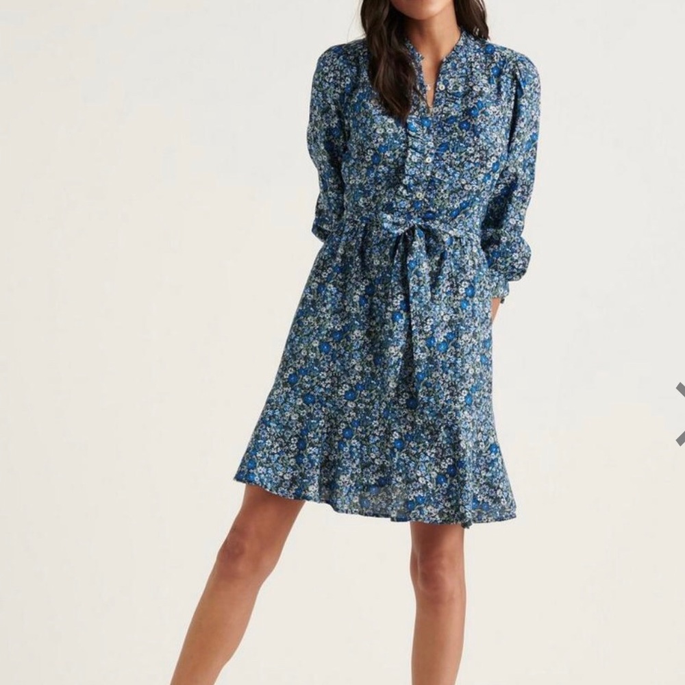 Mini Poet Dress